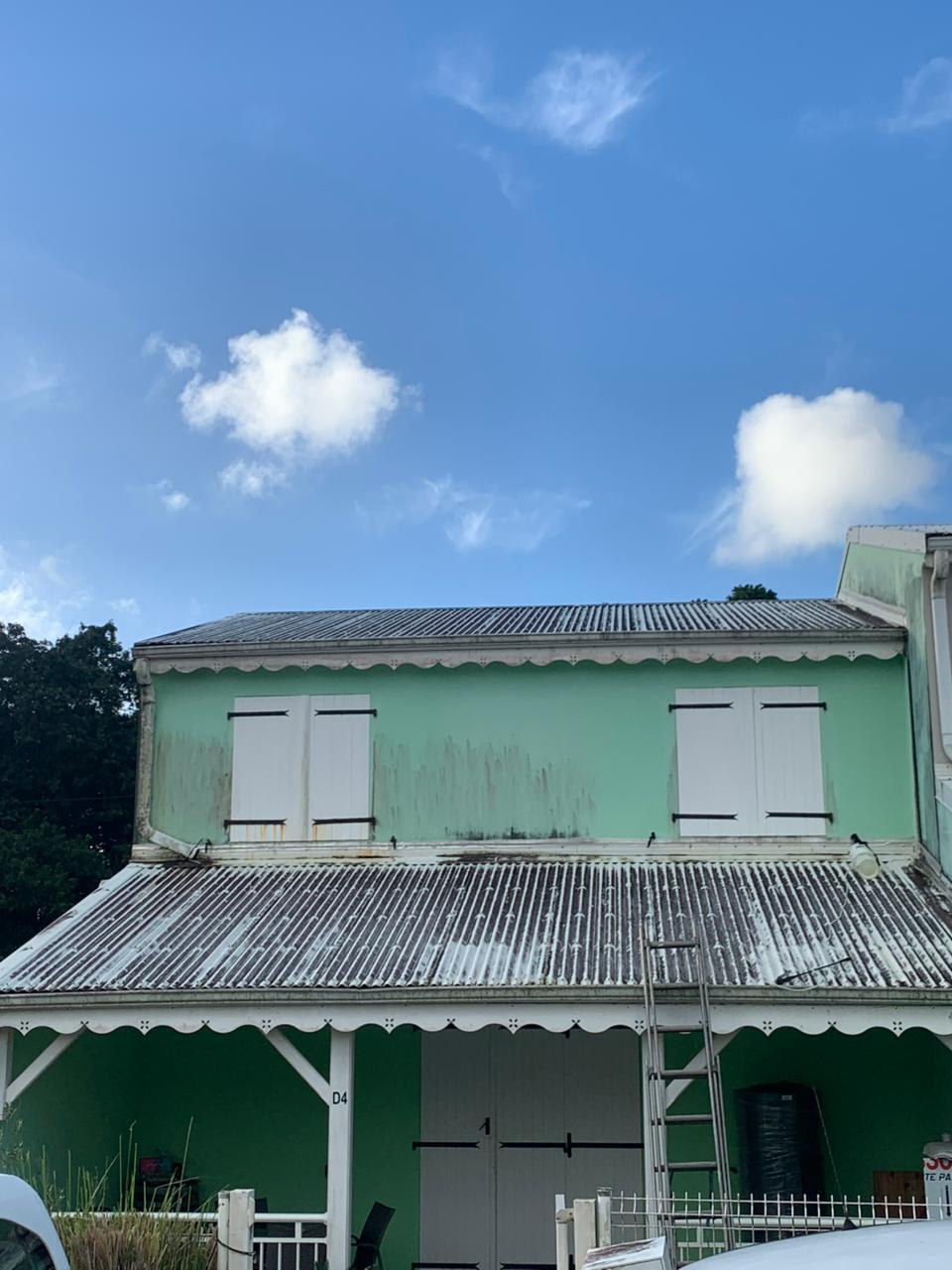 Toiture couverte de mousse et lichens avant nettoyage professionnel en Martinique